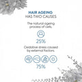 Lakmé Teknia Pro Ageing Mask 250ml