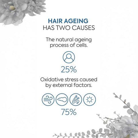Lakmé Teknia Pro Ageing Mask 250ml