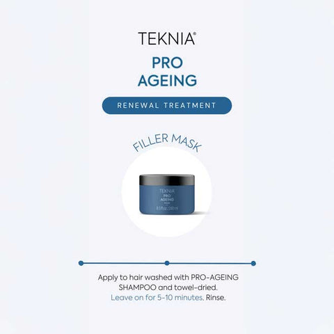 Lakmé Teknia Pro Ageing Mask 250ml