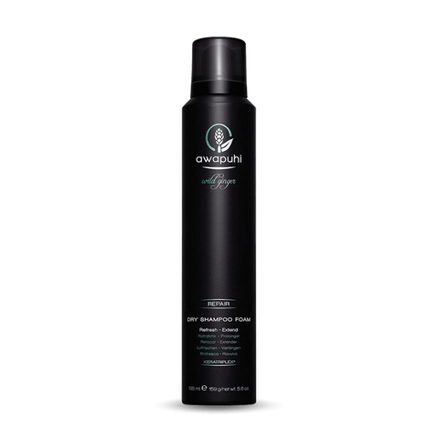 Paul Mitchell Awapuhi Wild Ginger Dry Shampoo Foam 195ml