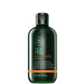 Paul Mitchell Tea Tree Special Colour Shampoo 300ml
