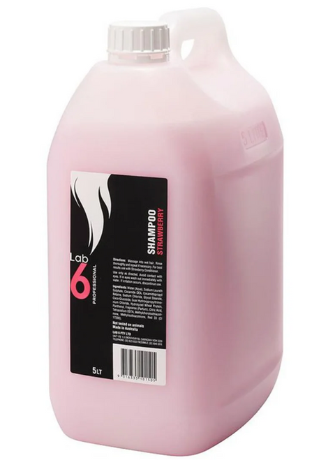Lab 6 Berry Shampoo 5L