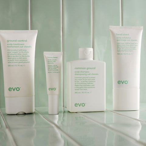 evo ground control scalp treatment
